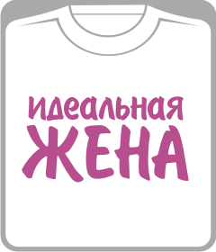 идеальная жена